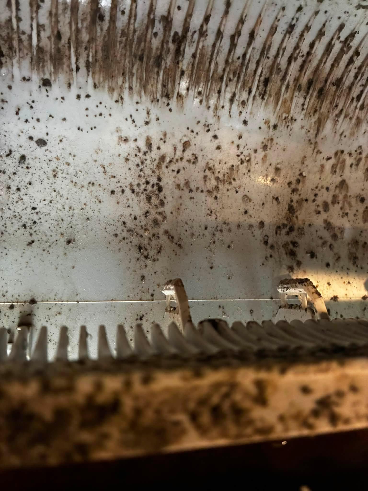 Mold and mildew inside a mini-split housing